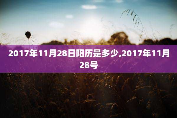 2017年11月28日阳历是多少,2017年11月28号