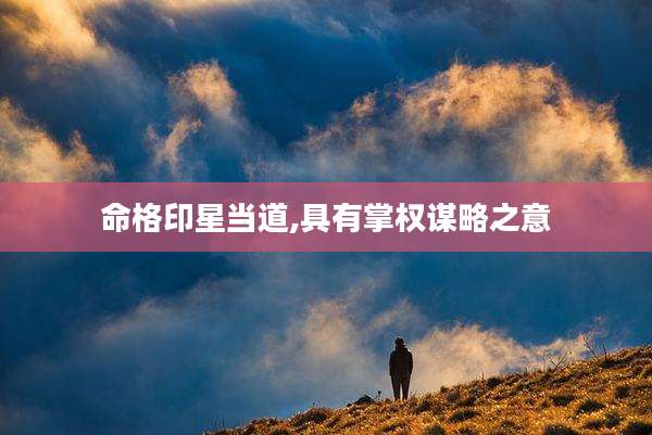 命格印星当道,具有掌权谋略之意