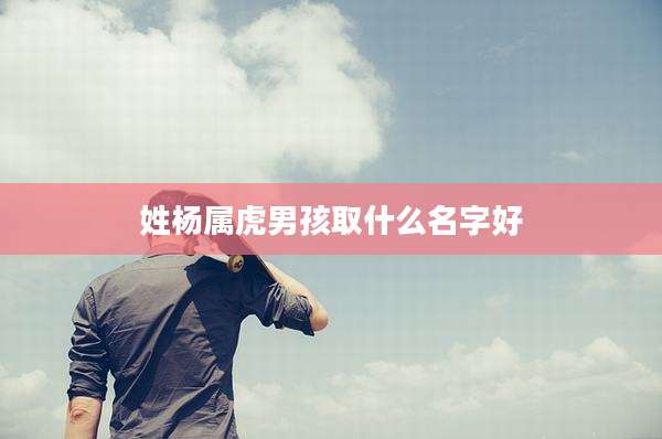 姓杨属虎男孩取什么名字好