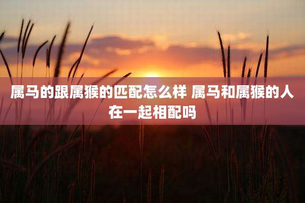 属马的跟属猴的匹配怎么样 属马和属猴的人在一起相配吗