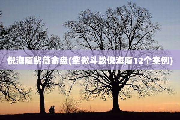 倪海厦紫薇命盘(紫微斗数倪海厦12个案例)