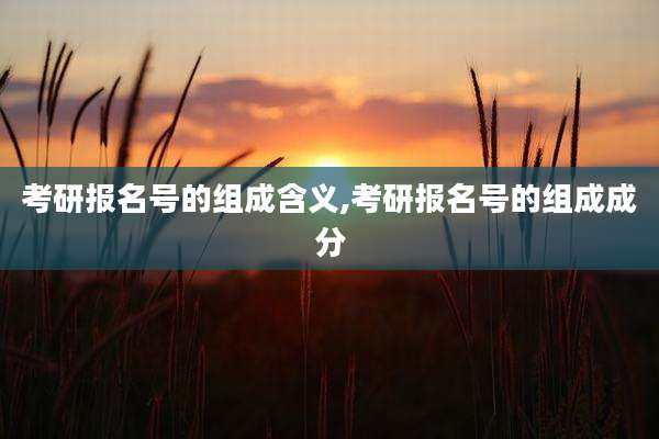考研报名号的组成含义,考研报名号的组成成分