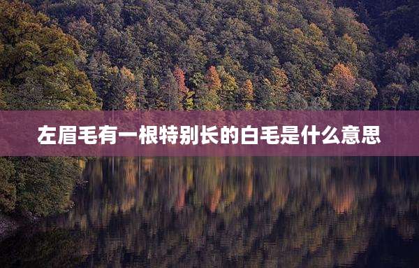 左眉毛有一根特别长的白毛是什么意思