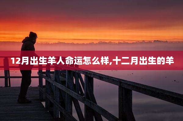 12月出生羊人命运怎么样,十二月出生的羊