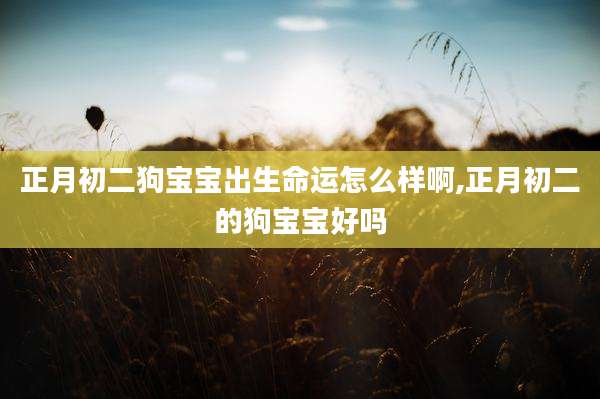 正月初二狗宝宝出生命运怎么样啊,正月初二的狗宝宝好吗