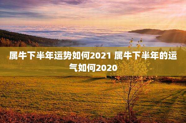 属牛下半年运势如何2021 属牛下半年的运气如何2020