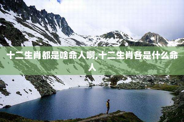十二生肖都是啥命人啊,十二生肖各是什么命人