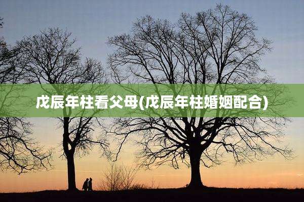 戊辰年柱看父母(戊辰年柱婚姻配合)