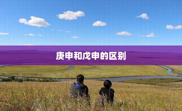庚申和戊申的区别