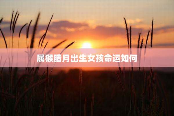属猴腊月出生女孩命运如何