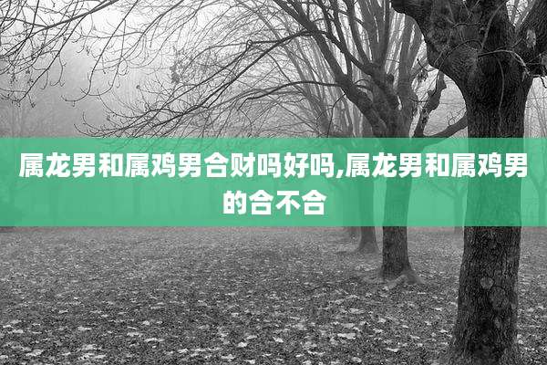 属龙男和属鸡男合财吗好吗,属龙男和属鸡男的合不合