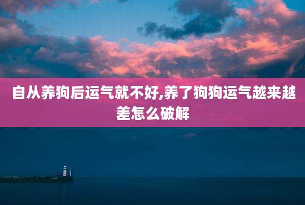 自从养狗后运气就不好,养了狗狗运气越来越差怎么破解