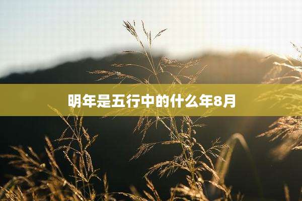 明年是五行中的什么年8月