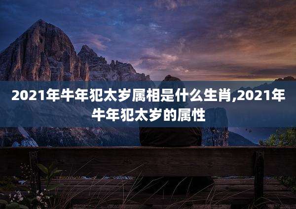2021年牛年犯太岁属相是什么生肖,2021年牛年犯太岁的属性