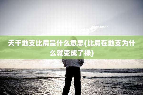 天干地支比肩是什么意思(比肩在地支为什么就变成了禄)