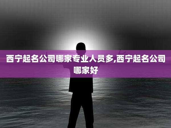 西宁起名公司哪家专业人员多,西宁起名公司哪家好