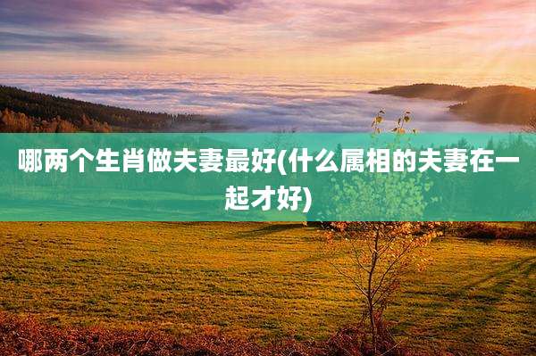 哪两个生肖做夫妻最好(什么属相的夫妻在一起才好)