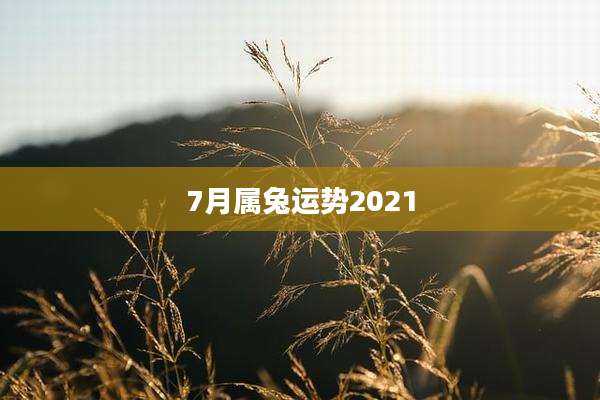 7月属兔运势2021