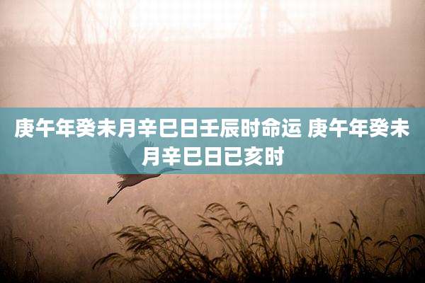 庚午年癸未月辛巳日壬辰时命运 庚午年癸未月辛巳日已亥时