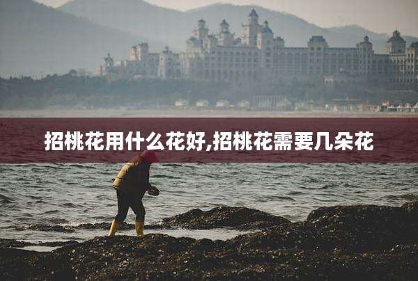 招桃花用什么花好,招桃花需要几朵花