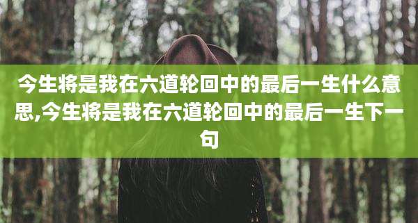 今生将是我在六道轮回中的最后一生什么意思,今生将是我在六道轮回中的最后一生下一句