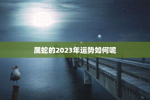属蛇的2023年运势如何呢
