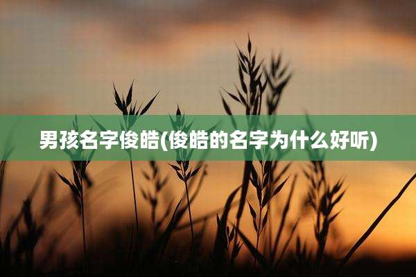 男孩名字俊皓(俊皓的名字为什么好听)