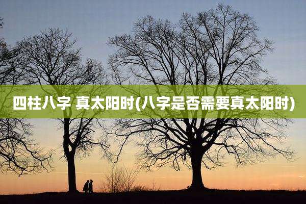 四柱八字 真太阳时(八字是否需要真太阳时)