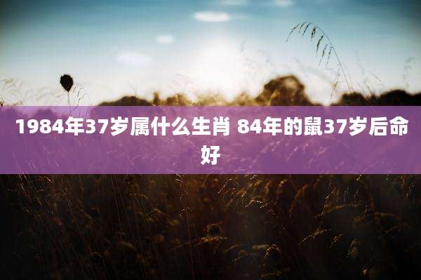 1984年37岁属什么生肖 84年的鼠37岁后命好
