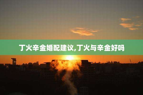 丁火辛金婚配建议,丁火与辛金好吗