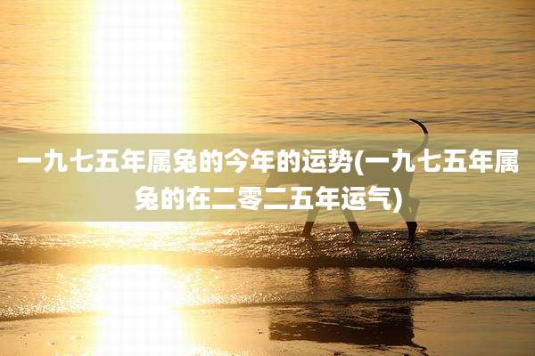 一九七五年属兔的今年的运势(一九七五年属兔的在二零二五年运气)