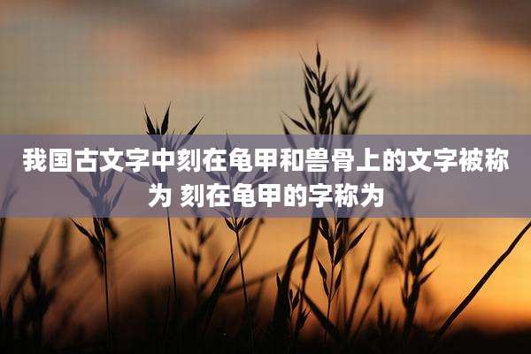 我国古文字中刻在龟甲和兽骨上的文字被称为 刻在龟甲的字称为