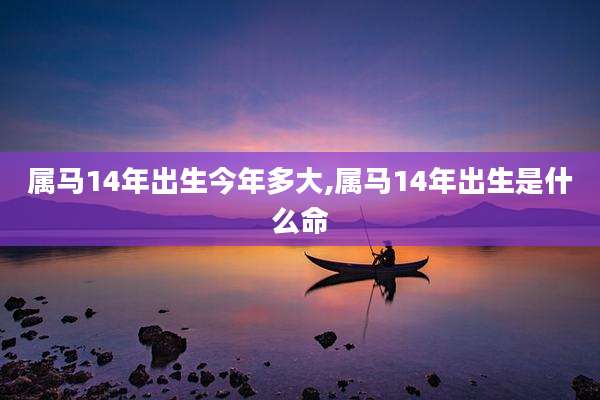 属马14年出生今年多大,属马14年出生是什么命