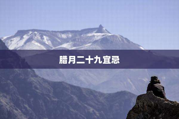 腊月二十九宜忌