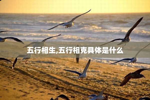 五行相生,五行相克具体是什么
