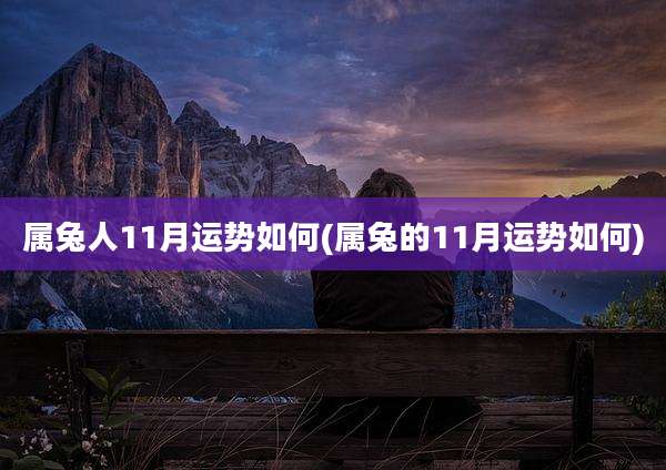 属兔人11月运势如何(属兔的11月运势如何)