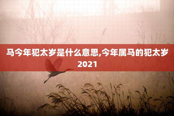 马今年犯太岁是什么意思,今年属马的犯太岁2021
