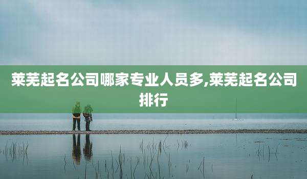 莱芜起名公司哪家专业人员多,莱芜起名公司排行