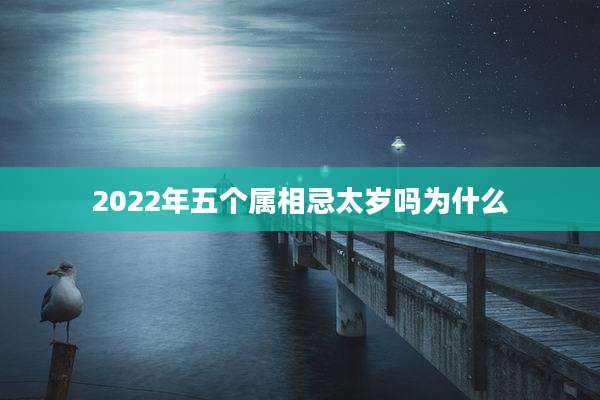 2022年五个属相忌太岁吗为什么