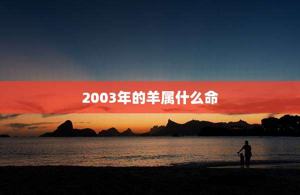 2003年的羊属什么命