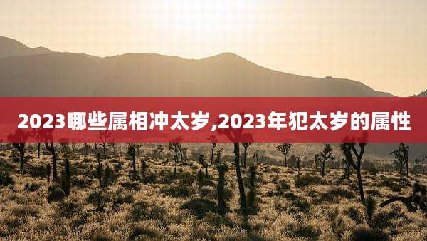 2023哪些属相冲太岁,2023年犯太岁的属性