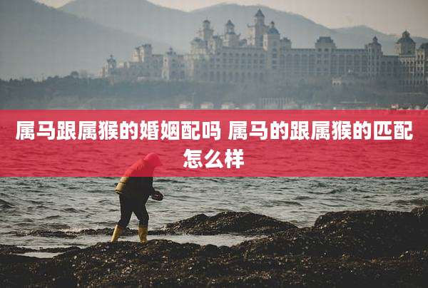 属马跟属猴的婚姻配吗 属马的跟属猴的匹配怎么样