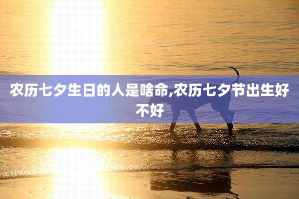 农历七夕生日的人是啥命,农历七夕节出生好不好