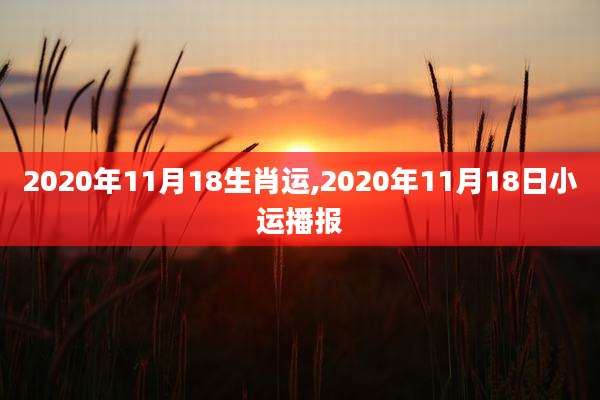 2020年11月18生肖运,2020年11月18日小运播报