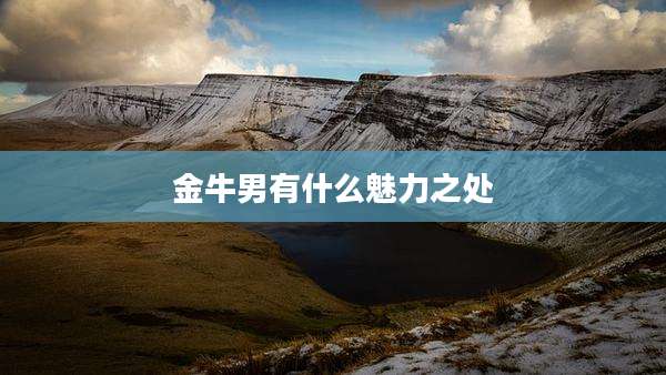 金牛男有什么魅力之处