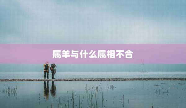 属羊与什么属相不合