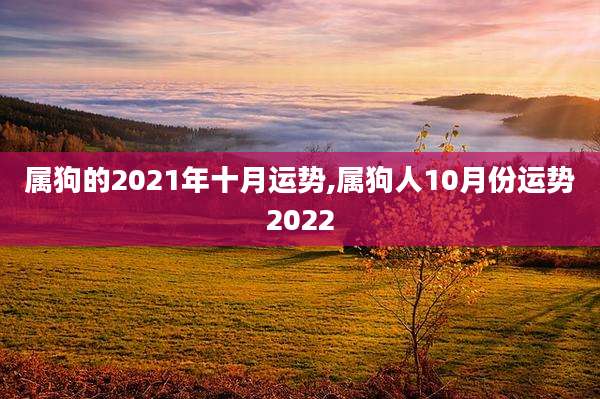 属狗的2021年十月运势,属狗人10月份运势2022