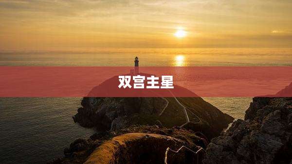 双宫主星