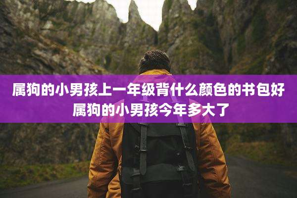 属狗的小男孩上一年级背什么颜色的书包好 属狗的小男孩今年多大了