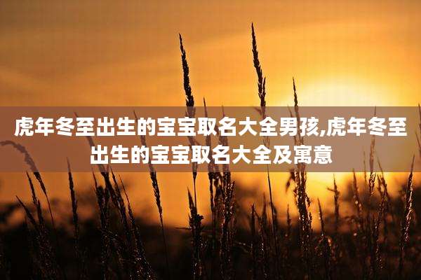 虎年冬至出生的宝宝取名大全男孩,虎年冬至出生的宝宝取名大全及寓意